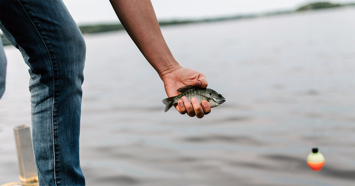 Fishing in Yuma | Fishing near Friendly Acres RV Resort